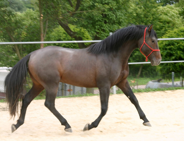Kl.Aragon_Juni2005 007.jpg