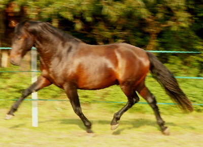PICT0124.JPG