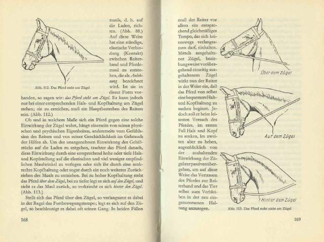 Aus Gregor v. Romaszkan, “Reiten lernen”, Zürich 1942 / 1957