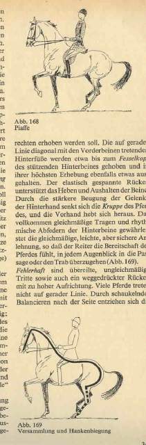 aus &amp;quot;Pferdesport&amp;quot;