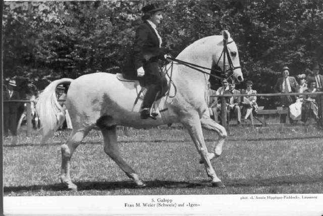 Galopp