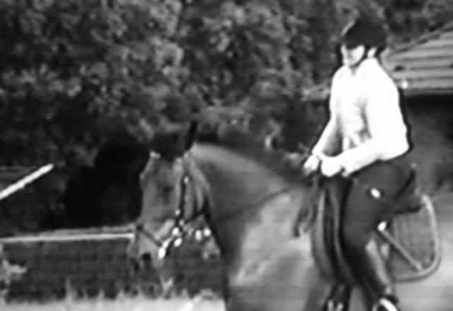 galopp2.jpg