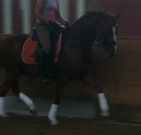 Davi 18.7.2010 016.JPG