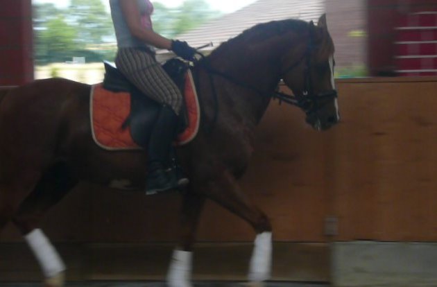 Davi 18.7.2010 023.JPG