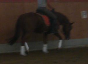 Davi 18.7.2010 024.JPG