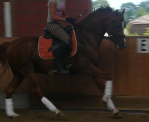 Davi 18.7.2010 011.JPG