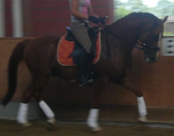 Davi 18.7.2010 022.JPG