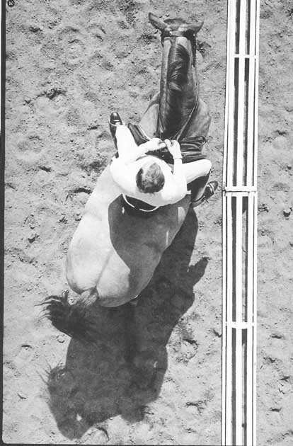 Dieses Bild von Harry Boldt kennen die meisten bestimmt, ich stelle es trotzdem ein, weil es sehr deutlich zeigt, wie ein Pferd sich biegt.