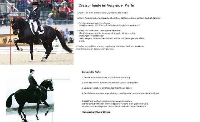 piaffe 4.jpg