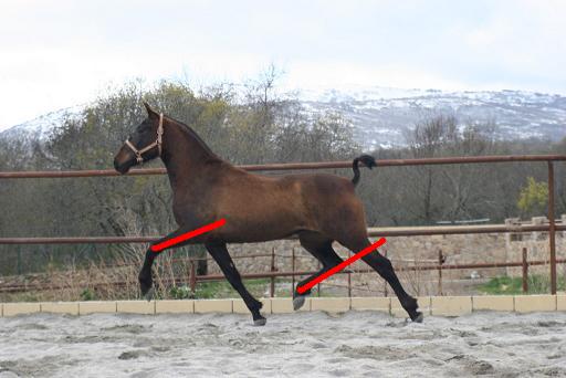 tani_206.jpg
