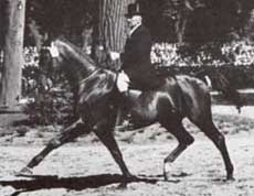 Otto Lörke