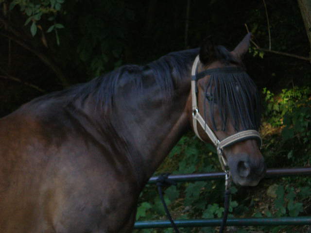 2008