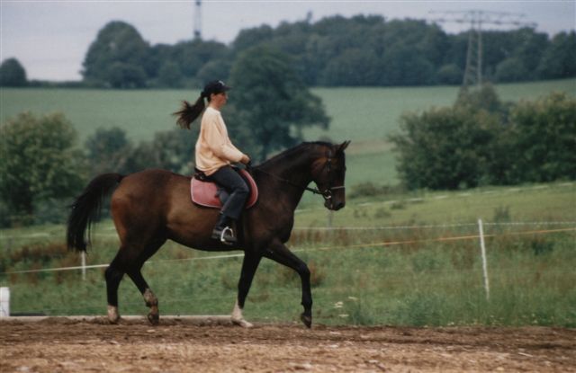 2003