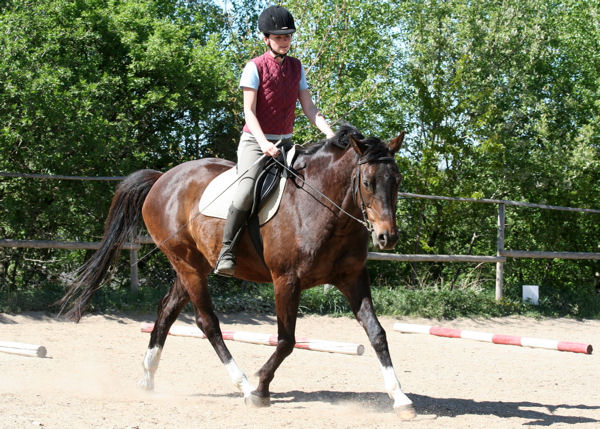 2007