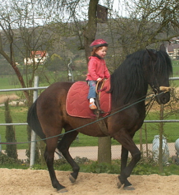 PICT0017.JPG