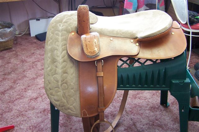 Angela+Scheidecker+side+saddle+Austria+013.jpg