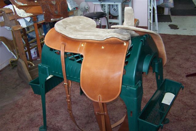 Angela+Scheidecker+side+saddle+Austria+011.jpg