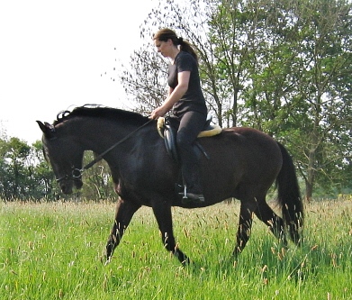 6903.jpg