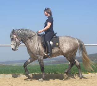 Frühjahr 2004.jpg