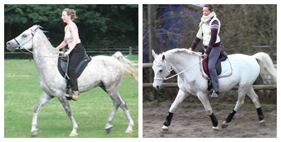 Maroun 2006 und 2014.jpg