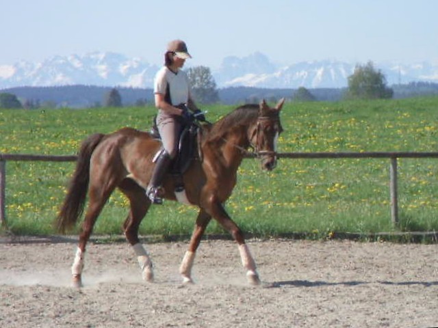 2008 - 6jährig