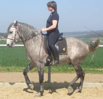 Erste Piaffe 2004 2.jpg