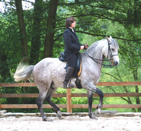 Piaffe 2 rechts klein.jpg
