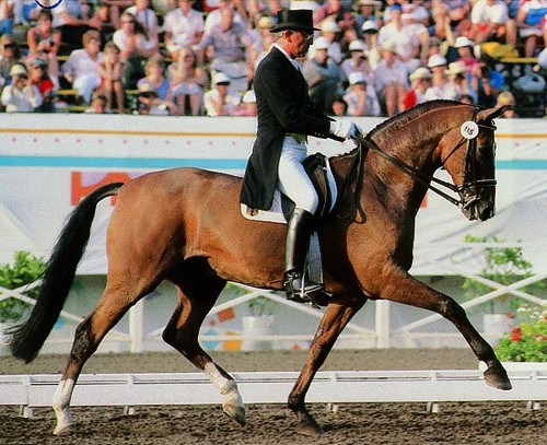 ahlerich-500.jpg