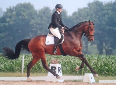 firu galopp.jpg