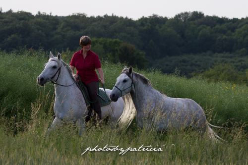 2016 06_Sandra-308 klein.jpg