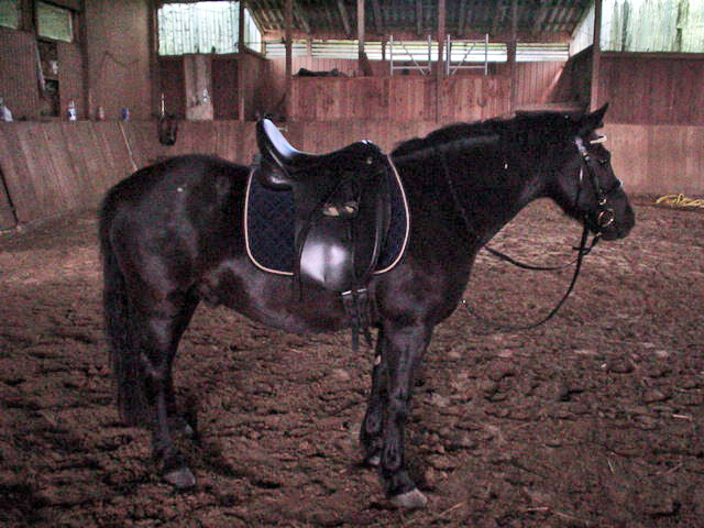 DSC00622_edited.JPG