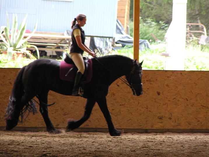 P1010005.JPG