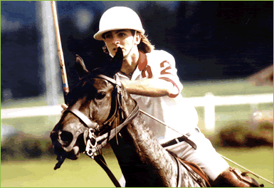 polo_07.gif