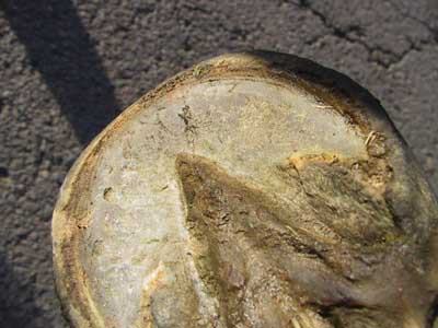 Hufsohle