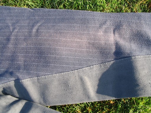 Stripy2.JPG