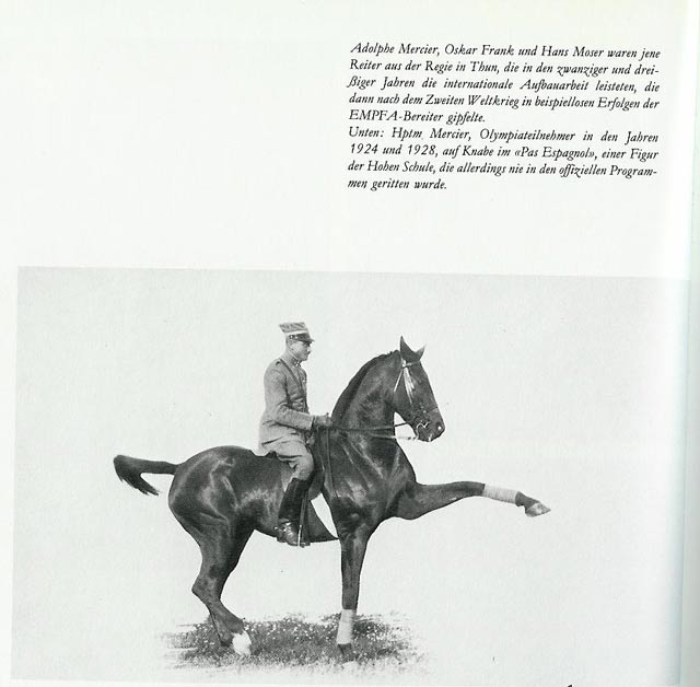 span-schritt_kleiner.jpg