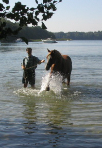 Antares am Planschen im See