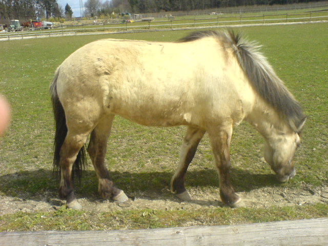 DSC00972.JPG