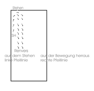 SHWechselRenversGrafik.jpg
