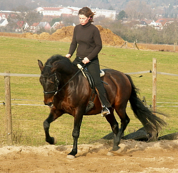 PICT0034.JPG