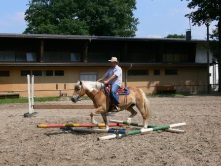 Reitunterricht 2008 019a.jpg