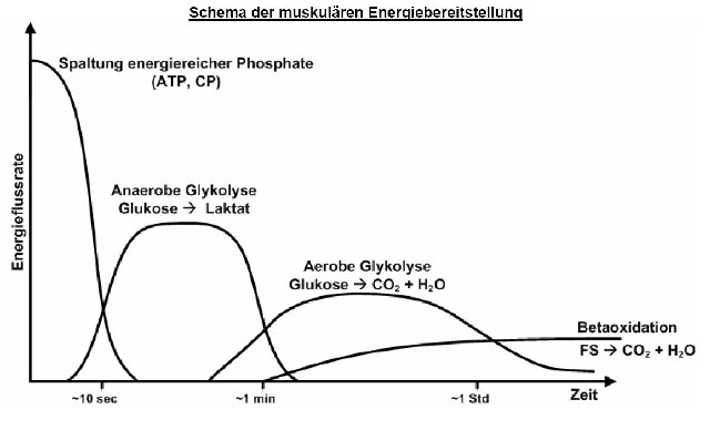 energiebereitstellung.JPG
