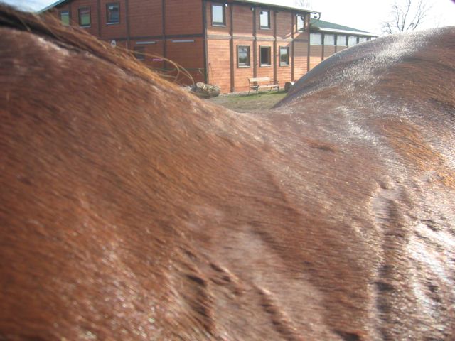 Schwitzbild 4.jpg