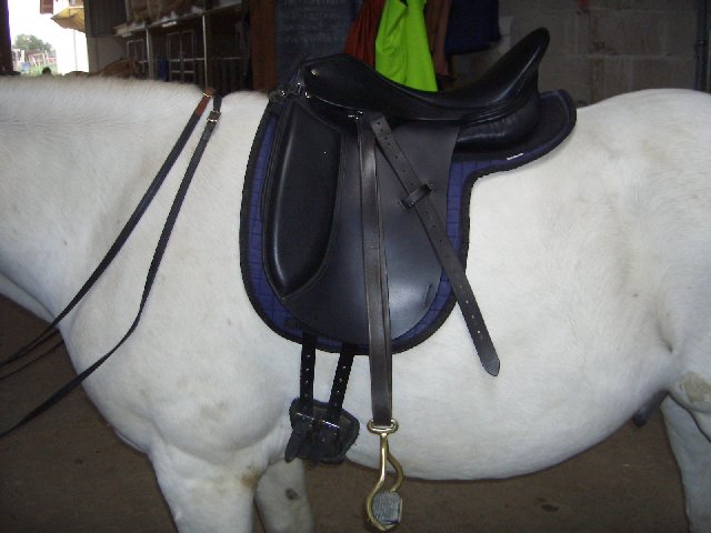 V%F6lzing5_640x480.JPG