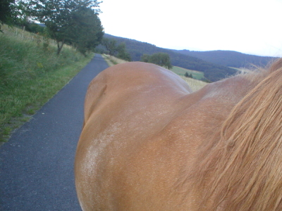 Sommer 07