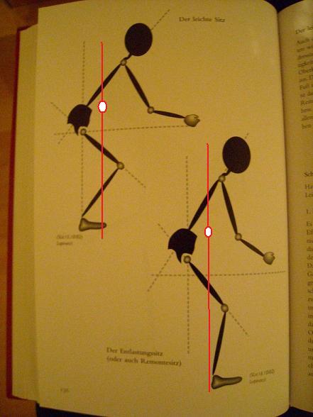 Cygon.jpg