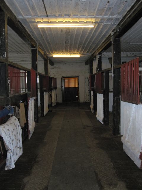 Die Stallung, leider schon recht alt und etwas dunkel, aber verzeihbar weil Hottis den ganzen Tag draussen. Ist ein Kaltstall.