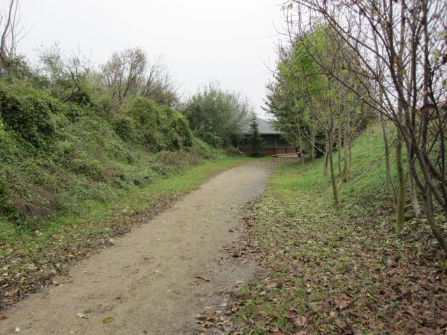 Beginn der Galoppbahn