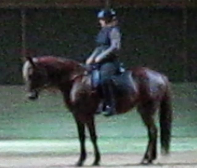 Bild 3.jpg