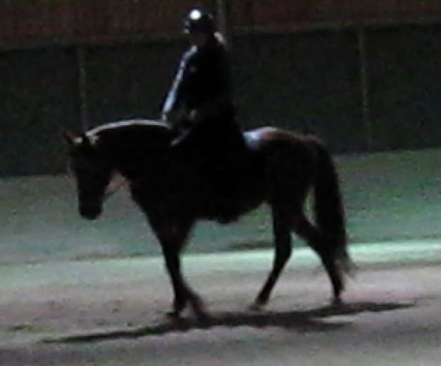 Bild 5.jpg